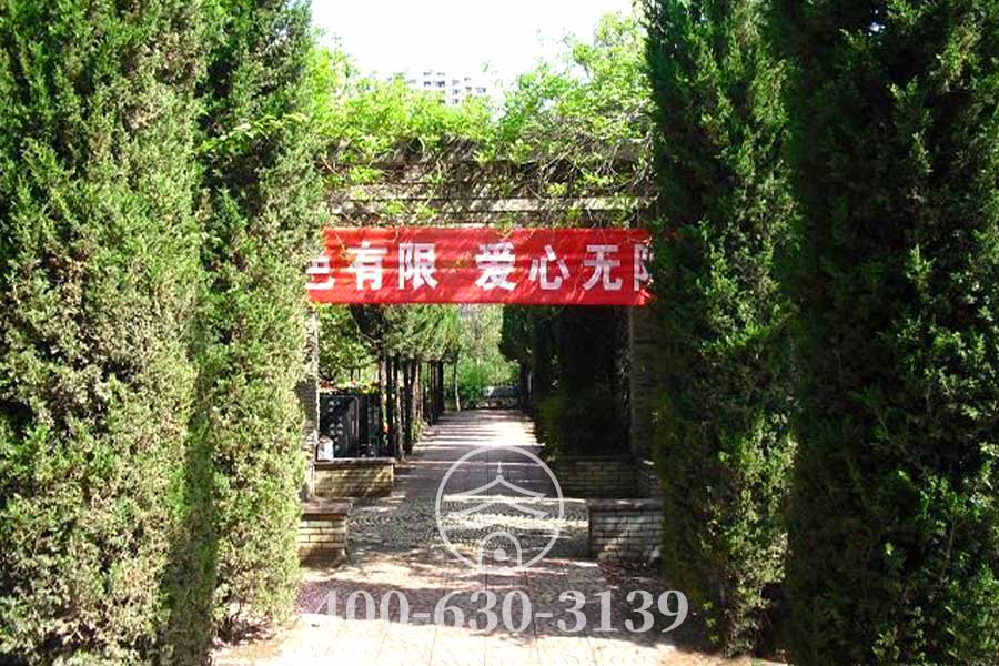 墓区绿化