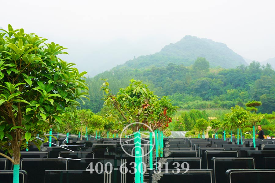 周边山势