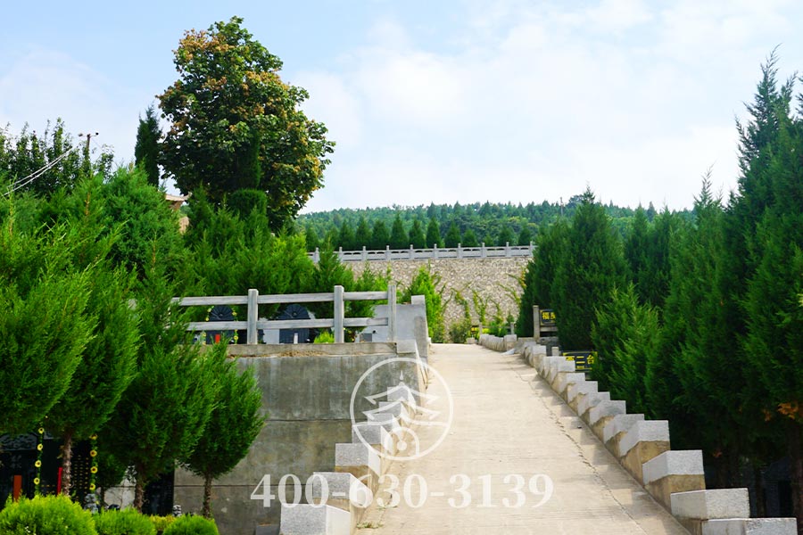 园区道路