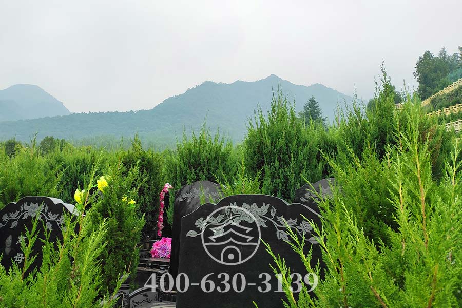 墓区绿化