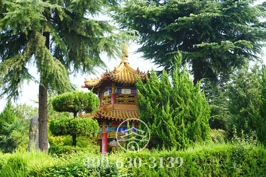 风景实拍