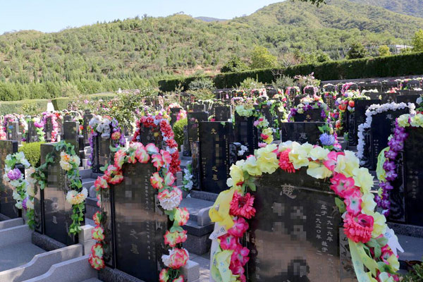 19大号拉花（10朵）3