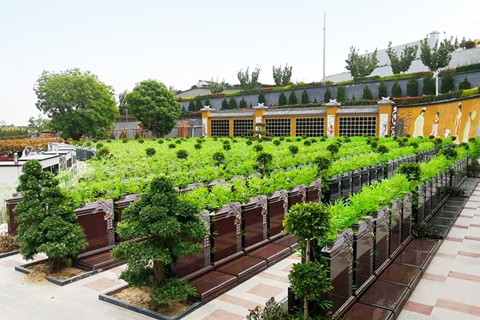 西安唐邵陵墓园：一座承载着思念与宁静的生命花园