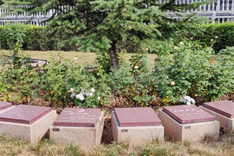 西安卧龙山福园有生态花坛葬吗？销售价格多少