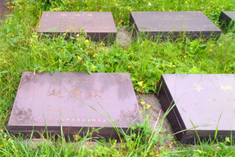 西安市霸陵墓园生态葬介绍及价格参考