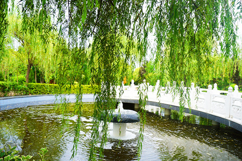 阎良汉皇树葬墓园有树葬吗？费用多少