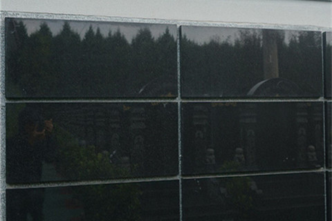 汉皇树葬墓园有壁葬吗？价格多少