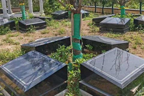 西安白鹿原公墓有树葬吗？价格是多少钱？