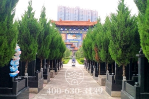 墓区绿化
