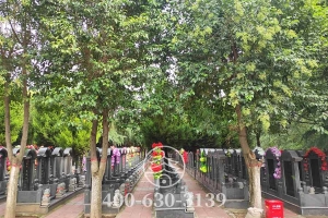 墓区景观