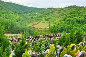 墓区绿化
