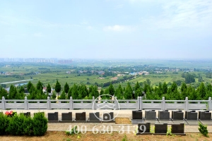 墓区实拍