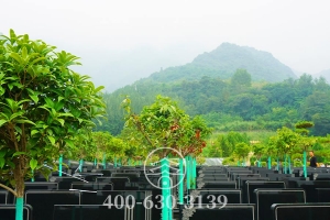 周边山势
