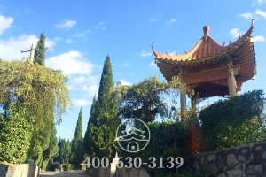 环境实拍