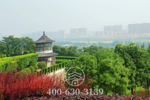 墓园远景