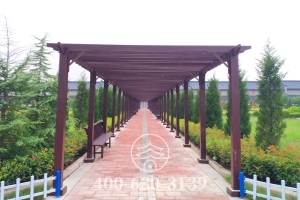 连廊景观