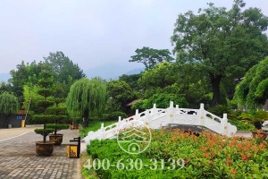 外景实拍