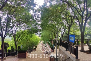 阶梯实拍