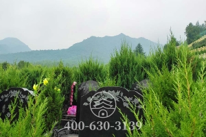 墓区绿化