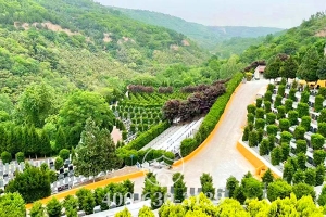 墓区道路
