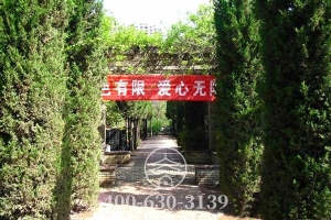 墓区绿化
