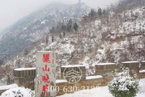 墓园雪景