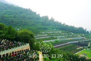 墓区远景