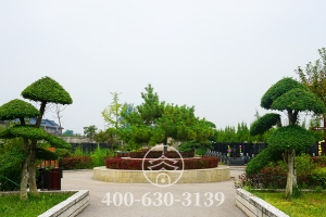 花坛景观
