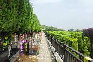 墓区碑林