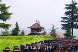 墓园远眺