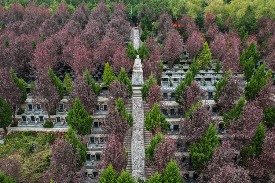 墓区环境